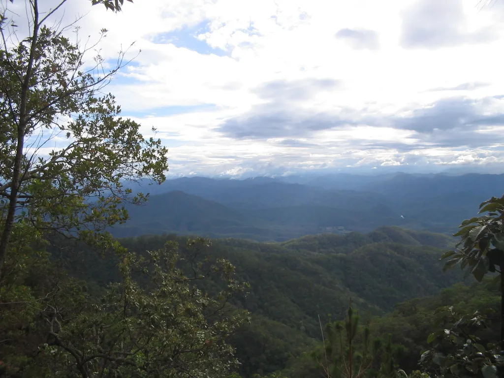 Photo from Thailand