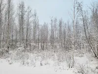 Photo from Sweden