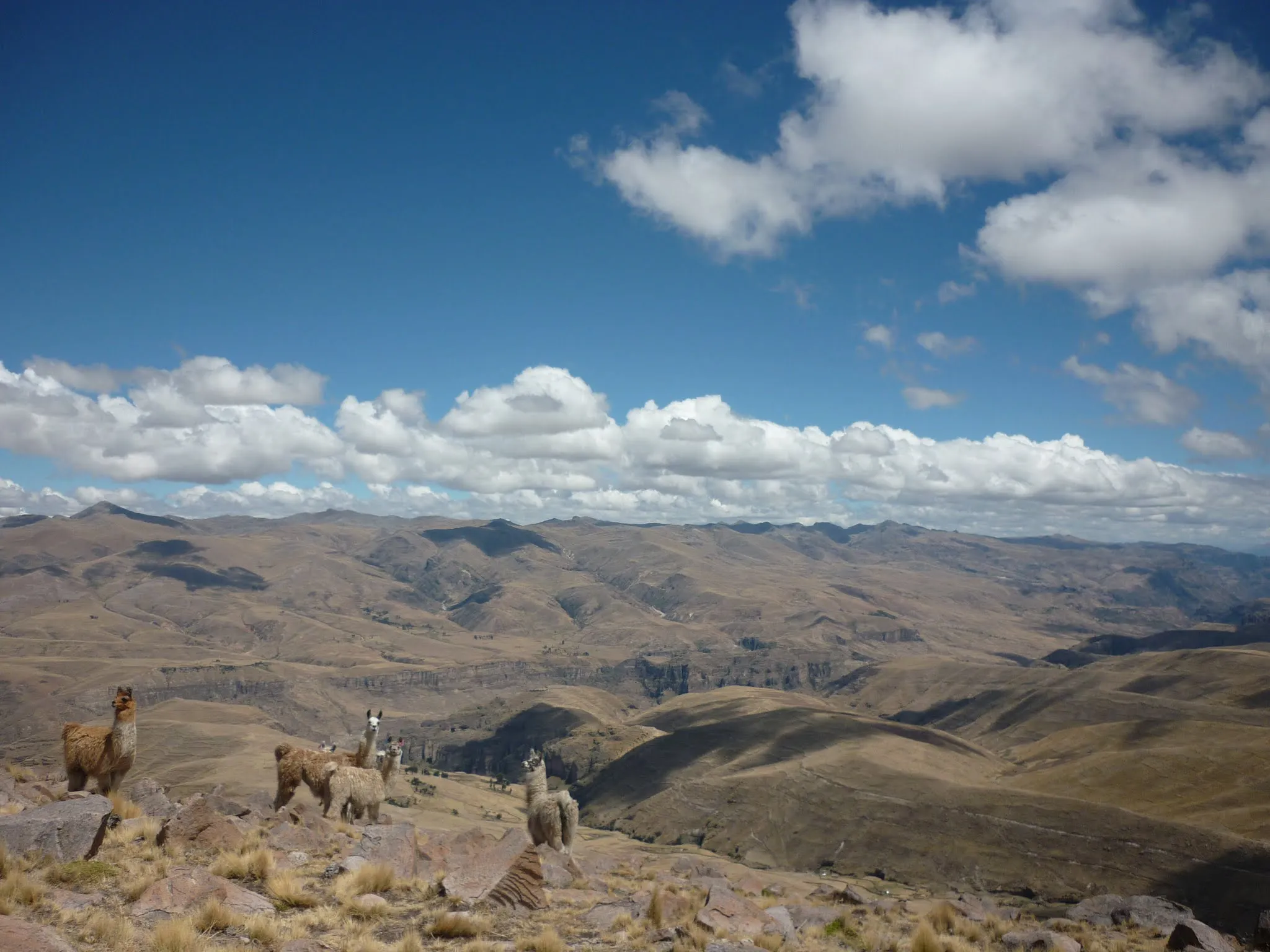 Photo from Peru