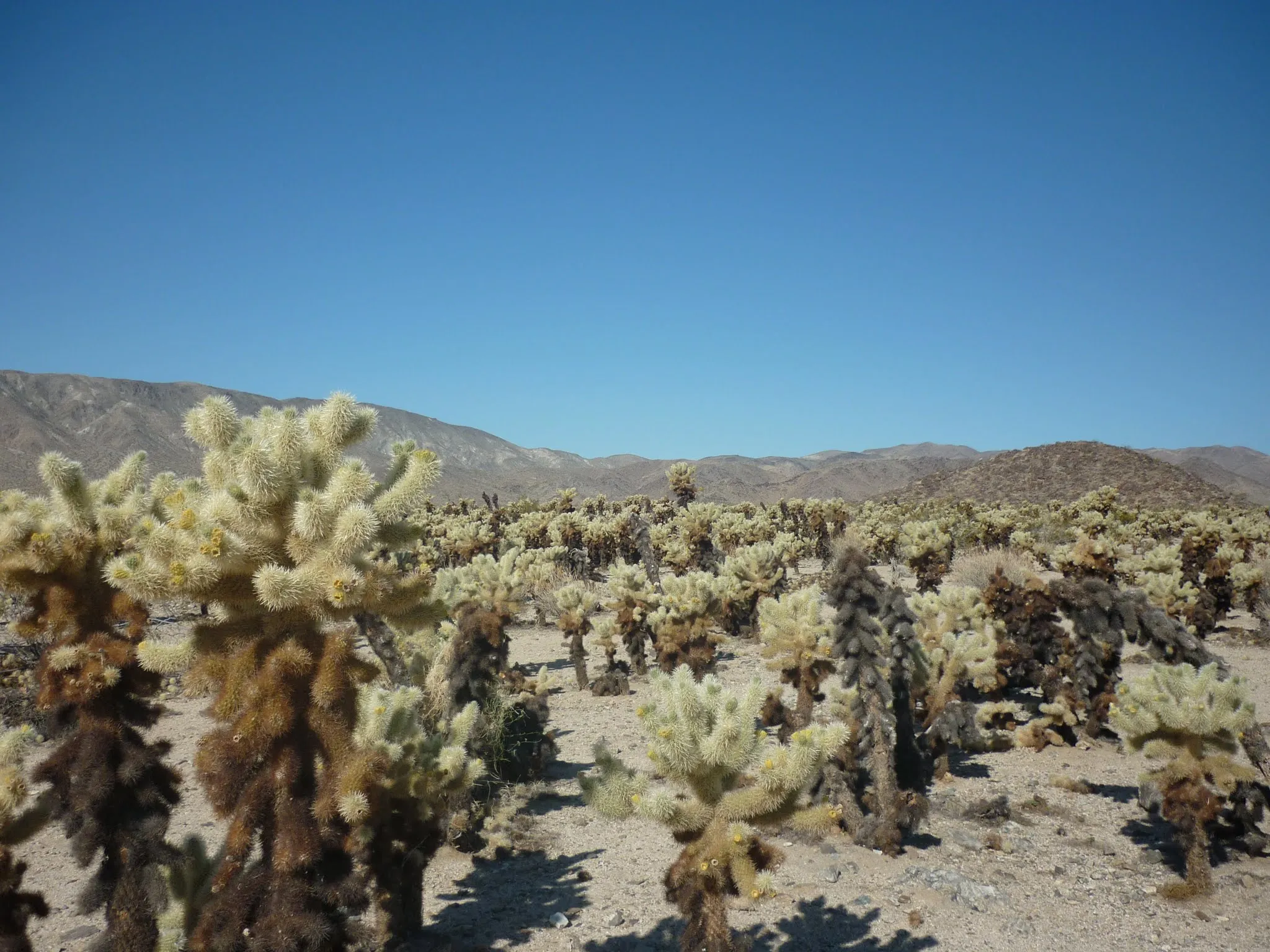 Photo from USA