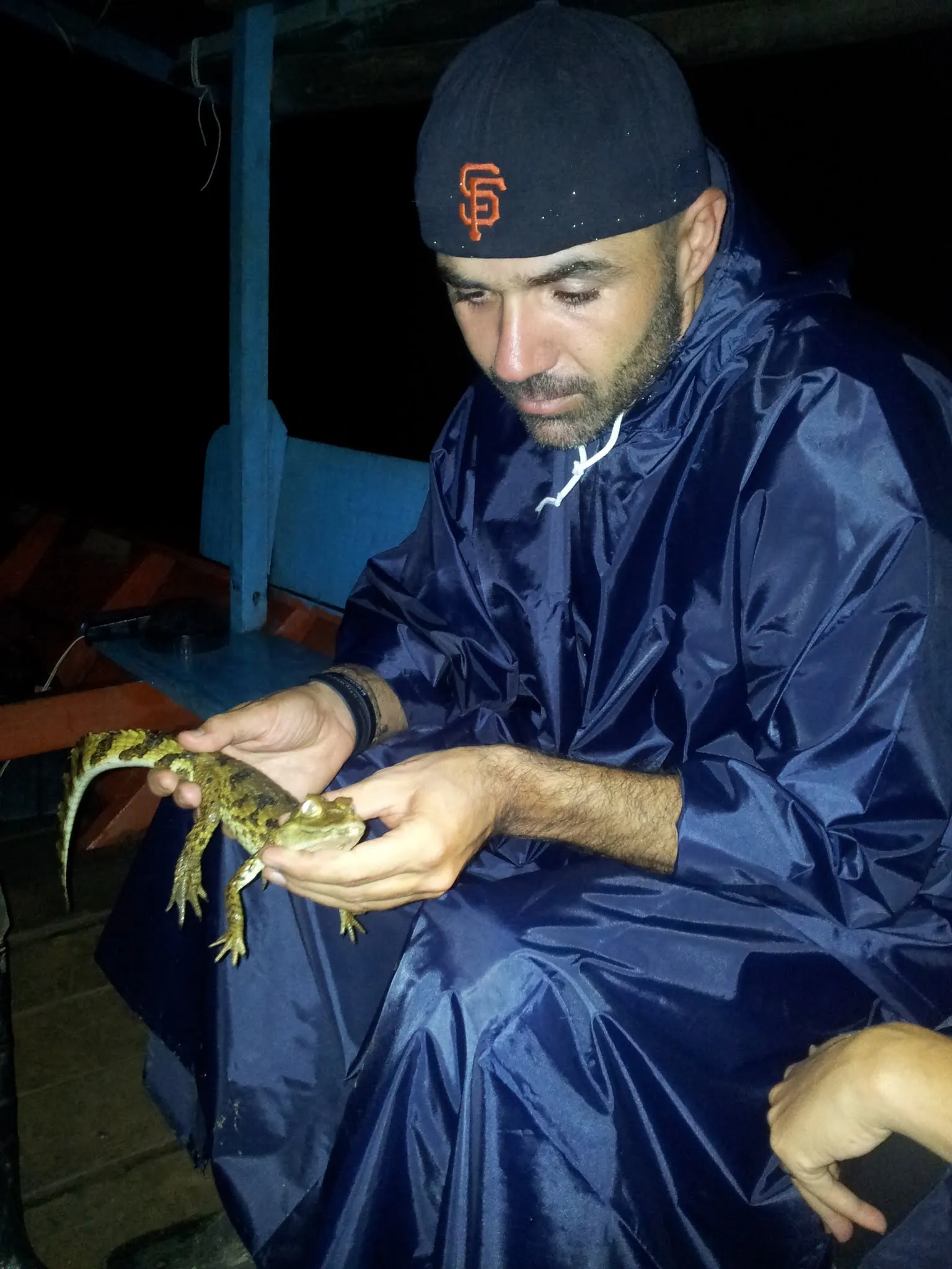 Holding a gator