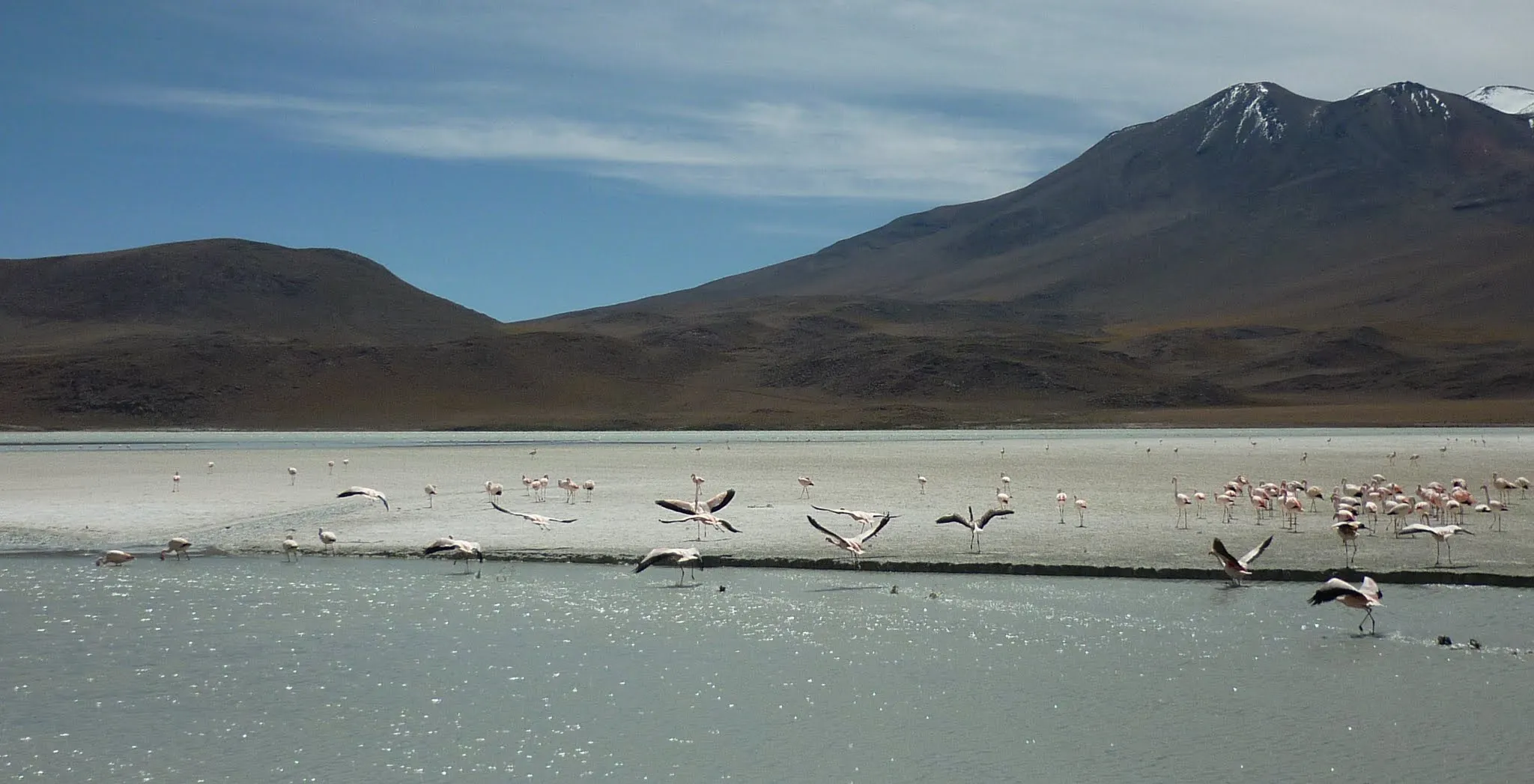 Photo from Bolivia