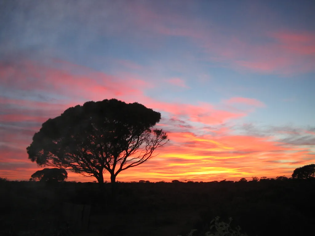 Photo from Australia